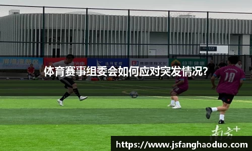 乐盈VI官网