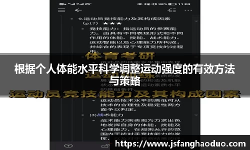 乐盈VI官网