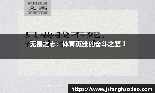 乐盈VI官网